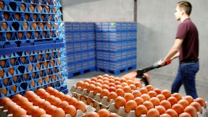 Россельхознадзор усилит контроль за импортом яйцесодержащих продуктов
