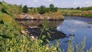 ОНФ Самары выявил экологические нарушения в районе полигона «Зубчаниновка» в Самаре