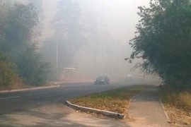 Пожарно-спасательные подразделения ликвидировали пожар в Ставропольском лесничестве
