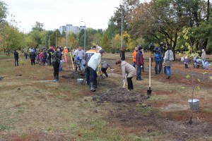 В парке «Воронежские озера» высадили пятьдесят молодых лип