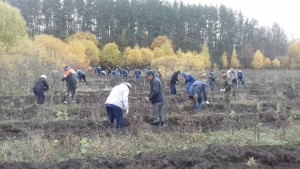 Во Всероссийском экологическом субботнике приняли участие тринадцать тысяч работников КбшЖД