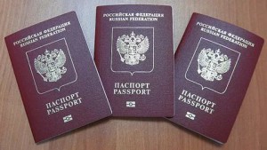 Названы возможные сроки отмены паспортов в России