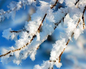 Погода в Самарской области останется сухой и морозной